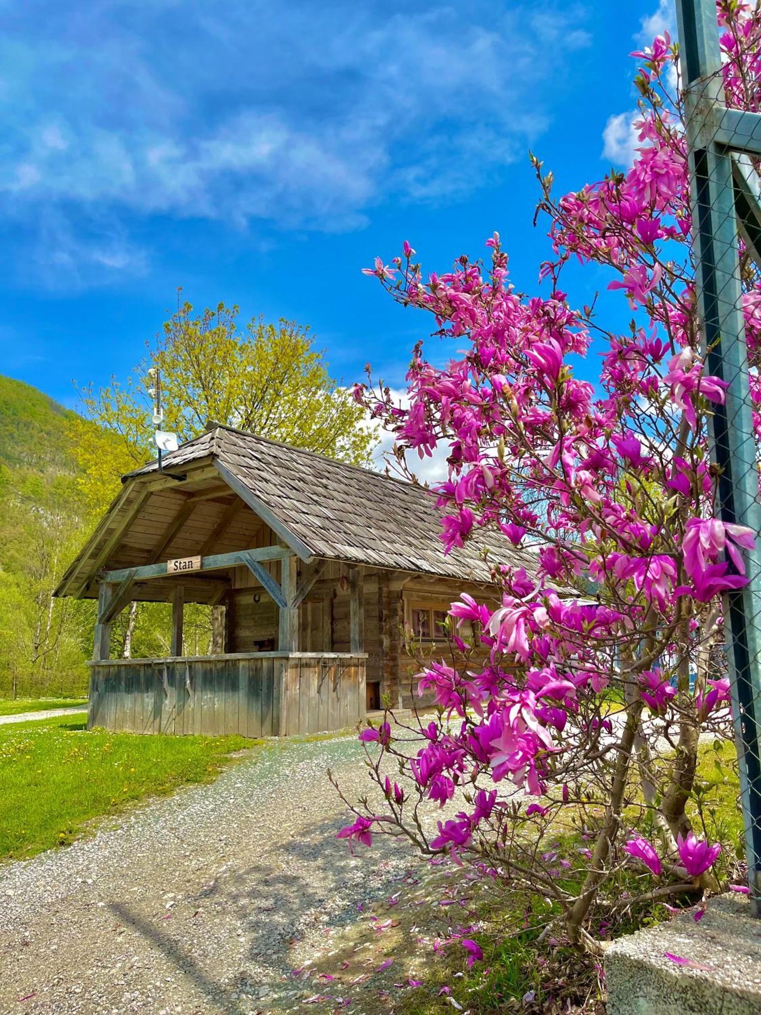Camping Danica Cottage Stan Бохинь Экстерьер фото